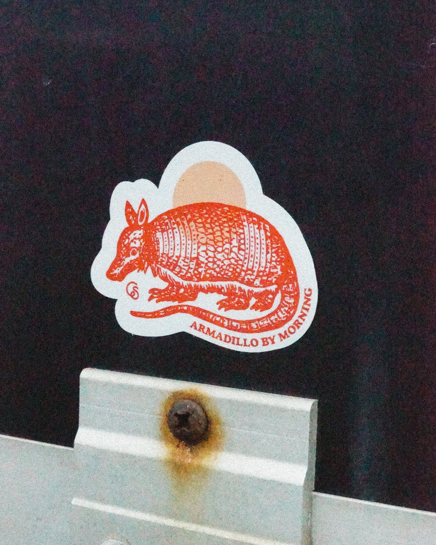 ARMADILLO BY MORNING Sticker